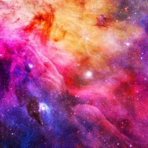 Meet your Posher, Meghan